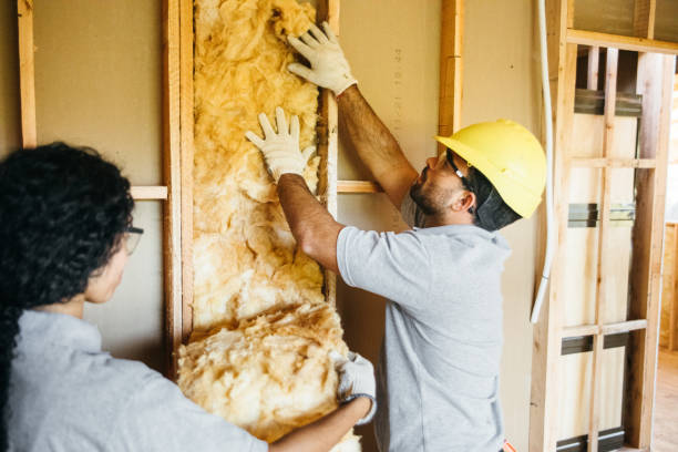 Best Insulation Removal  in Xenia, OH