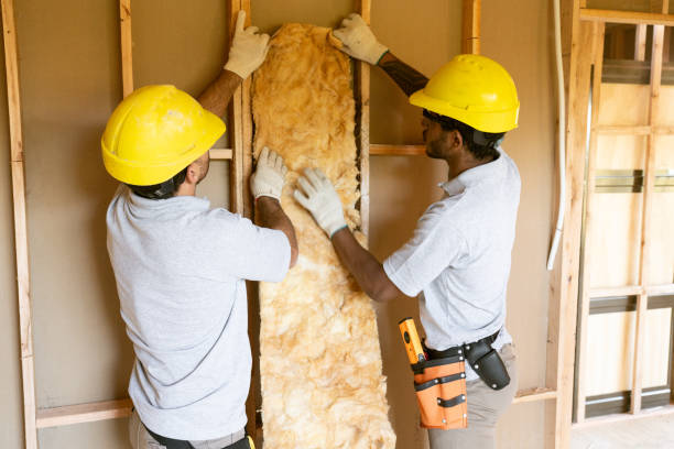 Best Insulation for New Construction  in Xenia, OH